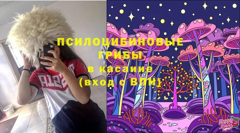 Псилоцибиновые грибы Magic Shrooms  закладки  Кизел 